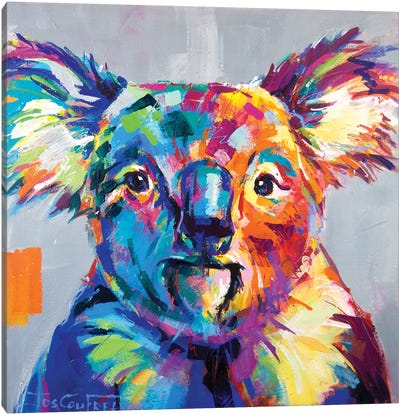 ZALORD Canvas wall art Colorful watercolor graffiti animal Koala