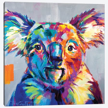 Koala I Canvas Print #JCF39} by Jos Coufreur Canvas Art Print