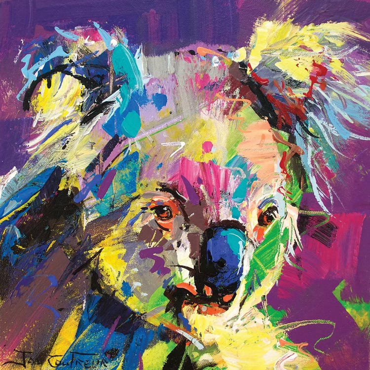 Koala VIII by Jos Coufreur wall art
