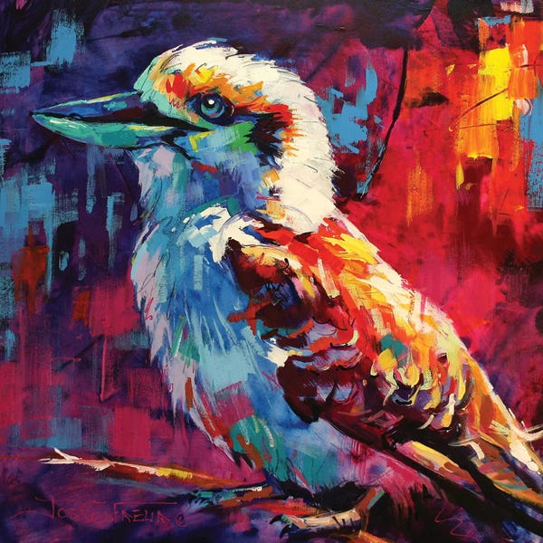 Kingfishers: Kookaburra by Jos Coufreur