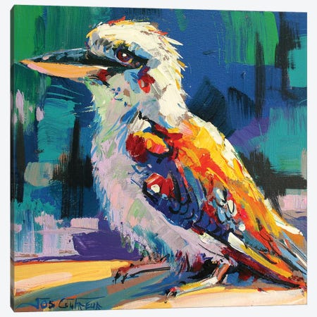 Kookaburra V Canvas Print #JCF44} by Jos Coufreur Canvas Print