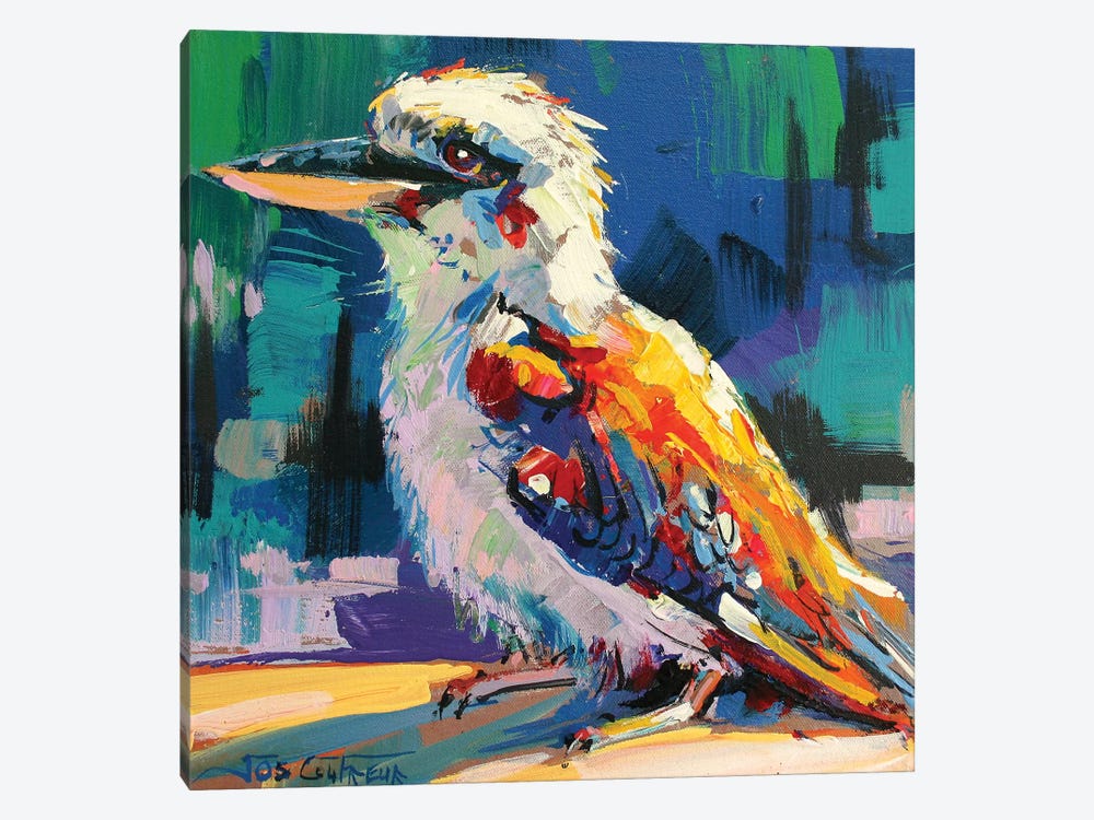 Kookaburra V by Jos Coufreur 1-piece Canvas Print