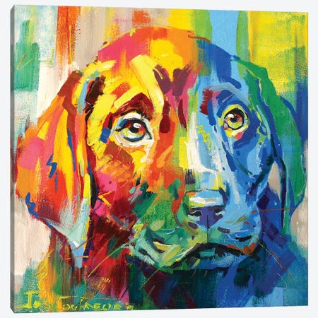 Labrador Puppy I Canvas Print #JCF46} by Jos Coufreur Canvas Art Print