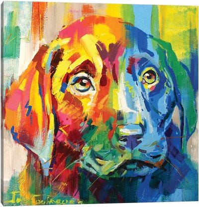 Labrador Puppy I Canvas Art Print - Jos Coufreur