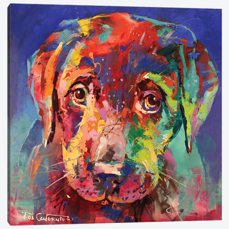 Labrador Puppy II Canvas Print #JCF47} by Jos Coufreur Canvas Art Print