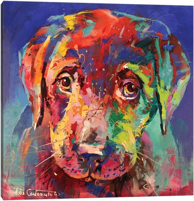 Labrador Puppy II Canvas Art Print - Puppy Art