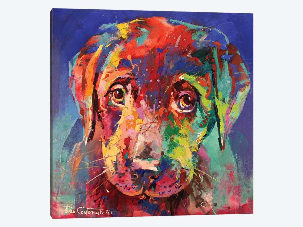 Labrador Puppy II by Jos Coufreur 1-piece Canvas Wall Art