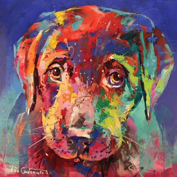 Jos Coufreur: Labrador Puppy II by Jos Coufreur