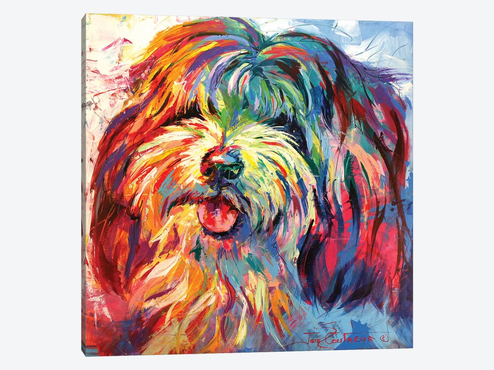 Lhaso Apso by Jos Coufreur 1-piece Canvas Print