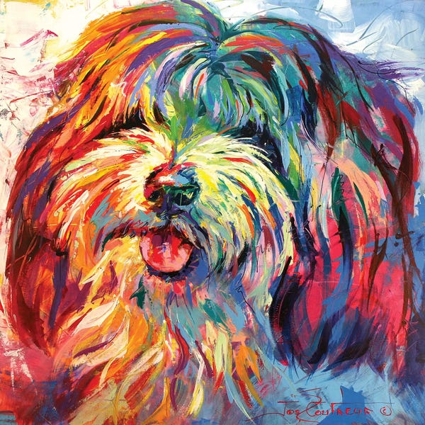 Jos Coufreur: Lhaso Apso by Jos Coufreur