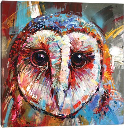 Masked Owl Canvas Art Print - Current Day Impressionism Art