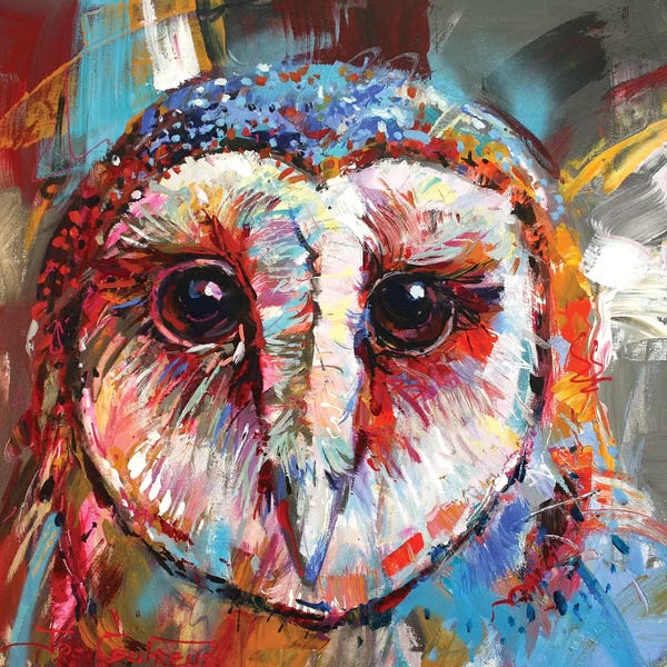 Jos Coufreur: Masked Owl by Jos Coufreur