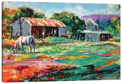 Old Sheds Canvas Art Print - Farm Art