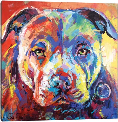 Staffordshire Bull Terrier Canvas Art Print - Current Day Impressionism Art