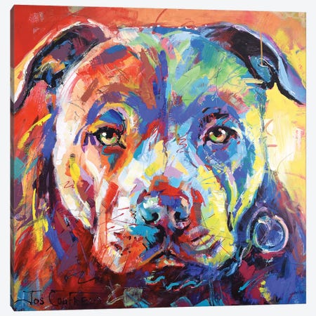 Staffordshire Bull Terrier Canvas Print #JCF77} by Jos Coufreur Canvas Art