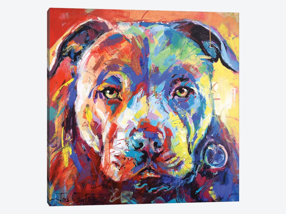 Staffordshire Bull Terrier colourful abstract framed wall art Square canvas 