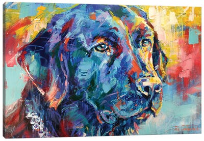 Black Labrador Canvas Art Print - Jos Coufreur