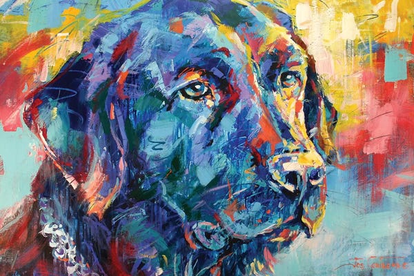 Labrador Retrievers: Black Labrador by Jos Coufreur