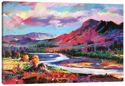 Tuki Tuki River Canvas Art Print - Jos Coufreur