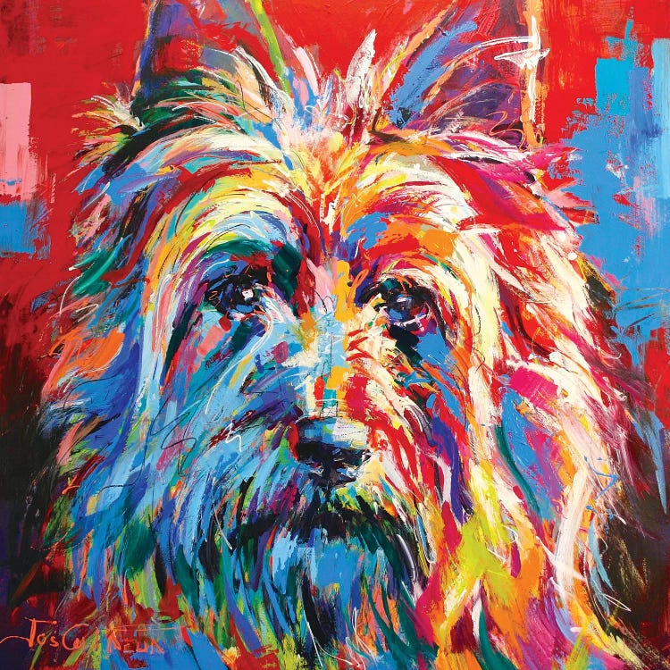 Australian Silky Terrier by Jos Coufreur wall art