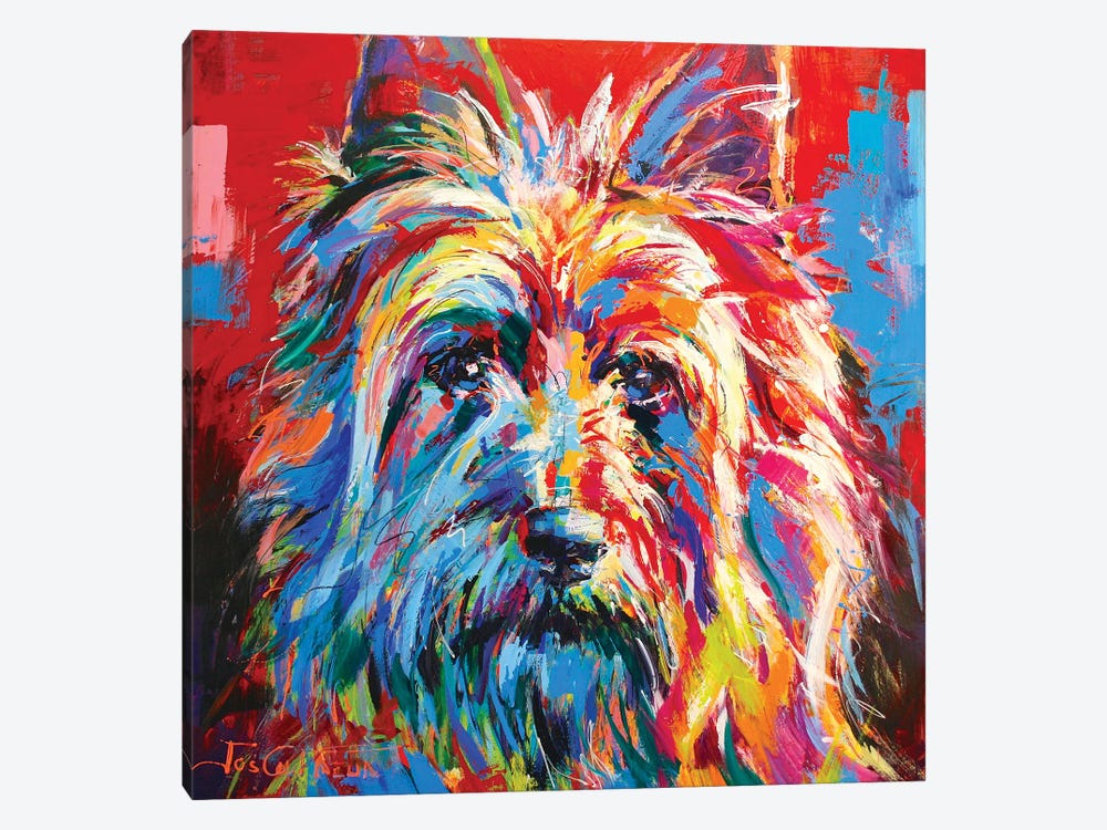 Australian Silky Terrier by Jos Coufreur 1-piece Canvas Artwork