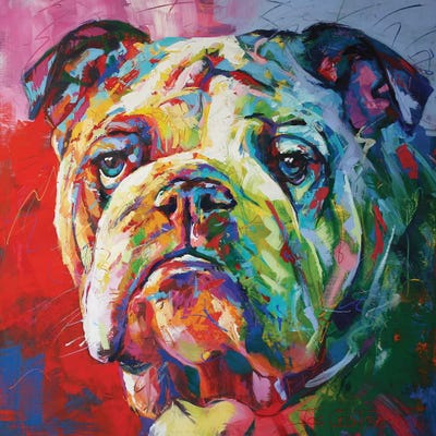 Bulldog by Jos Coufreur art print