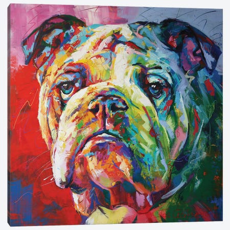 Bulldog Canvas Print #JCF93} by Jos Coufreur Canvas Print