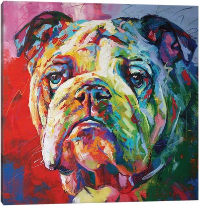 Bulldog Canvas Art Print - Current Day Impressionism Art