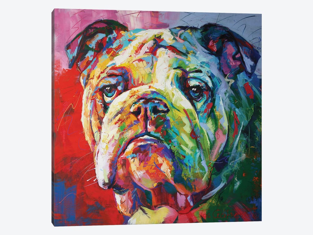 Bulldog by Jos Coufreur 1-piece Canvas Print