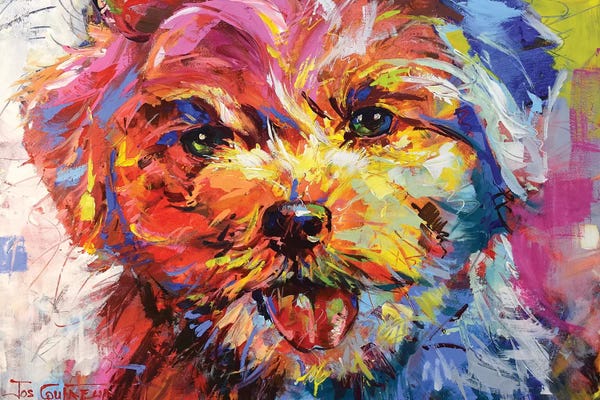 Jos Coufreur: Bichon Frisé by Jos Coufreur