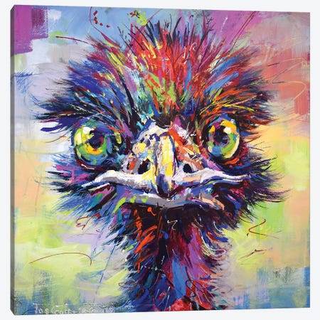 Emu I Canvas Print #JCF98} by Jos Coufreur Art Print