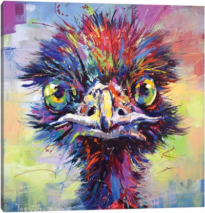 Emu I Canvas Art Print - Jos Coufreur