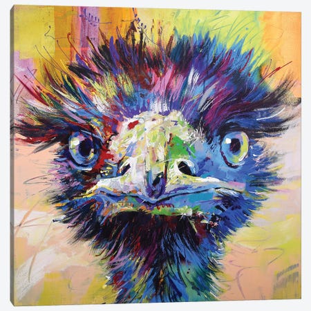 Emu X Canvas Print #JCF99} by Jos Coufreur Art Print