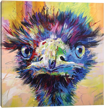 Emu X Canvas Art Print - Jos Coufreur