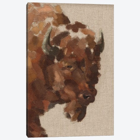 Tiled Bison I Canvas Print #JCG110} by Jacob Green Canvas Wall Art