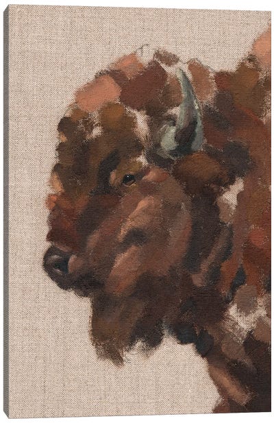 Tiled Bison II Canvas Art Print - Jacob Green