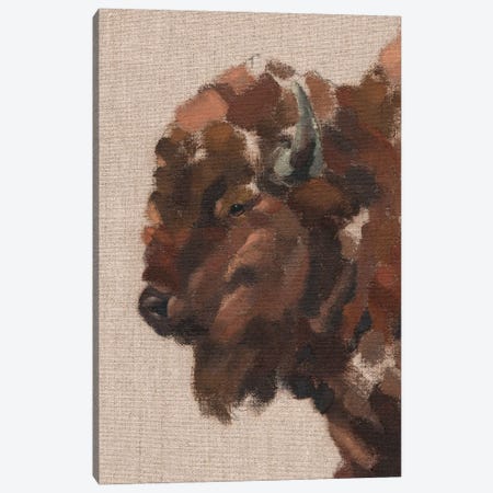 Tiled Bison II Canvas Print #JCG111} by Jacob Green Canvas Wall Art