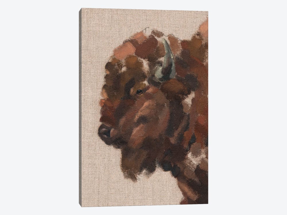 Tiled Bison II by Jacob Green 1-piece Canvas Artwork