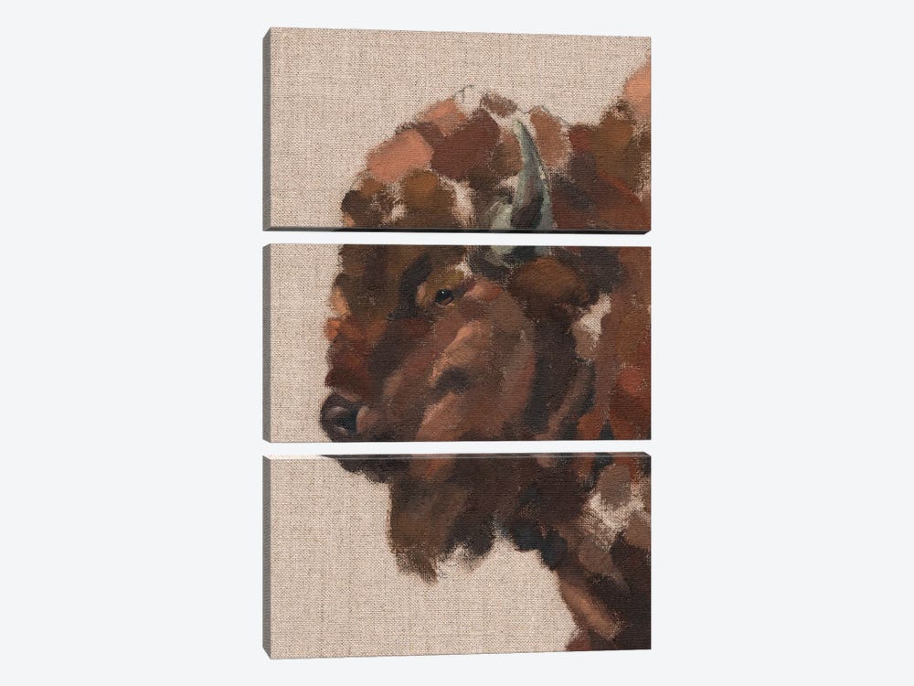Tiled Bison II by Jacob Green 3-piece Canvas Wall Art