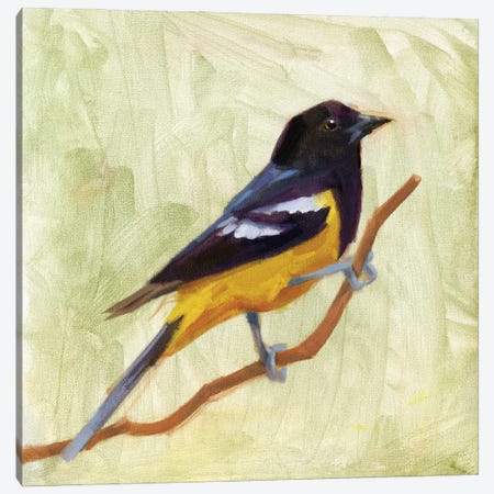 Backyard Birds I Canvas Print #JCG114} by Jacob Green Art Print