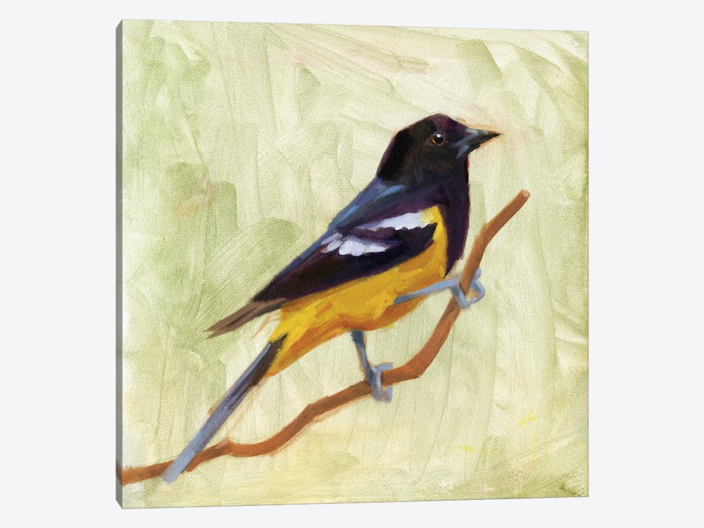 Backyard Birds I by Jacob Green 1-piece Canvas Print