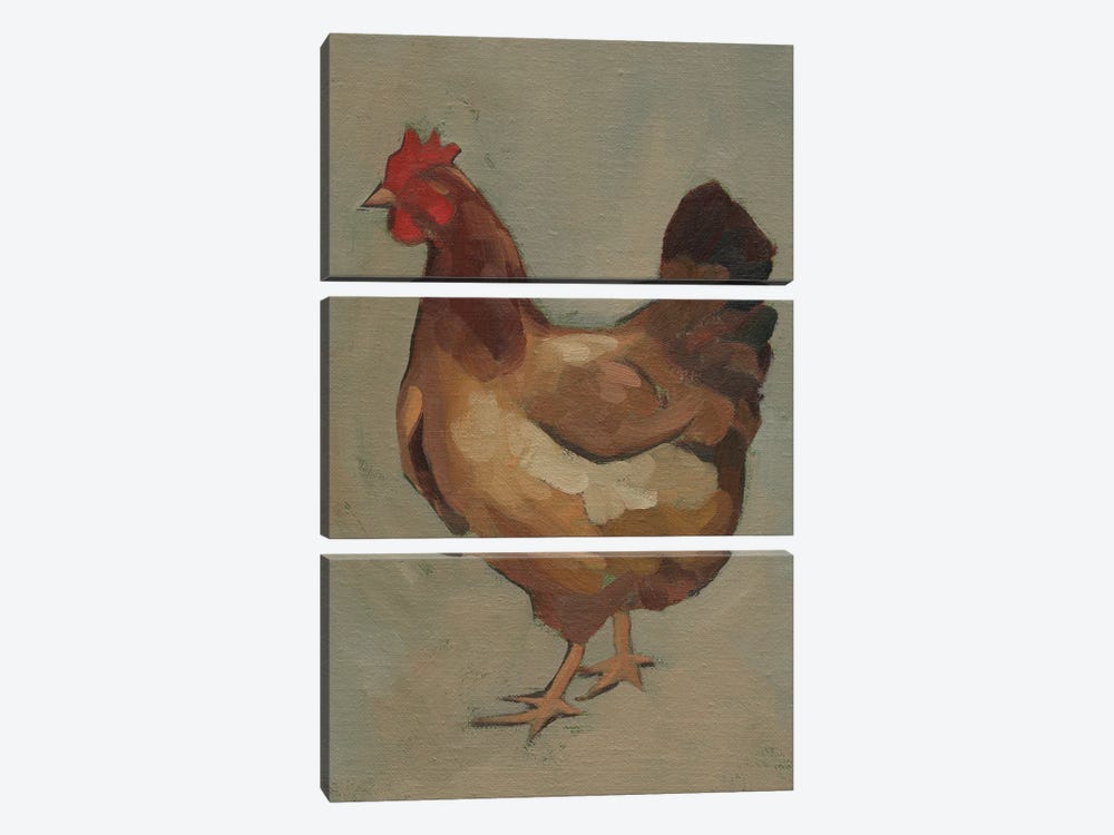 Egg Hen II by Jacob Green 3-piece Canvas Art
