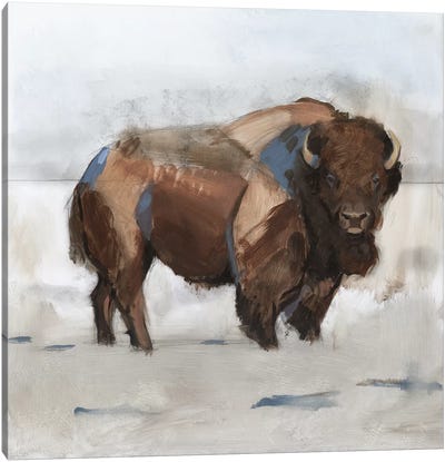 Lodge Guardian I Canvas Art Print - Bison & Buffalo Art