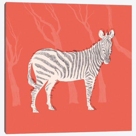 Plains Zebra I Canvas Print #JCG153} by Jacob Green Canvas Artwork