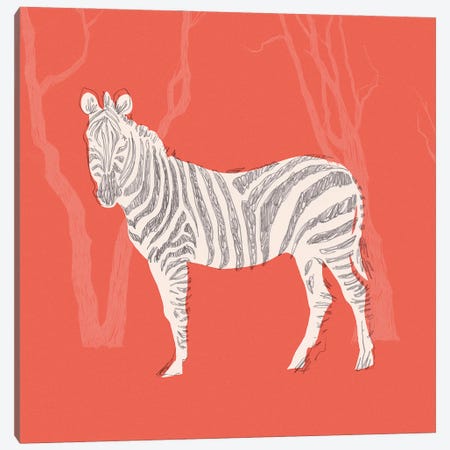 Plains Zebra II Canvas Print #JCG154} by Jacob Green Canvas Print