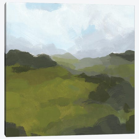 Powell Valley I Canvas Print #JCG155} by Jacob Green Canvas Art Print