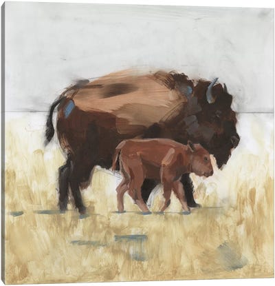 Lodge Guardian III Canvas Art Print - Bison & Buffalo Art
