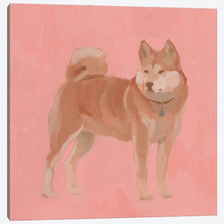 Shiba Inu I Canvas Print #JCG164} by Jacob Green Canvas Artwork