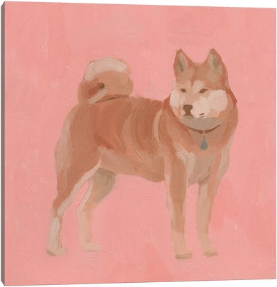 Shiba Inu I Canvas Art Print