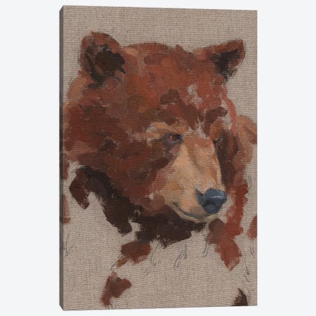 Big Bear I Canvas Print #JCG172} by Jacob Green Canvas Wall Art